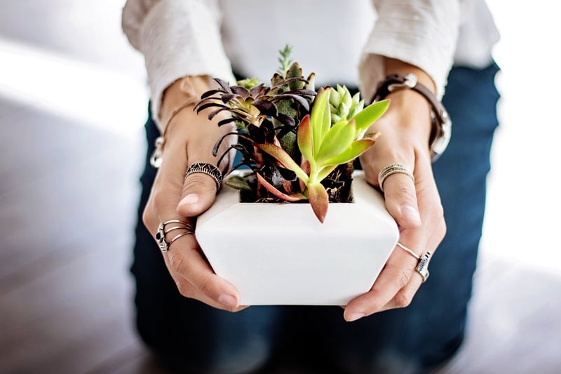 Indoor Gardens