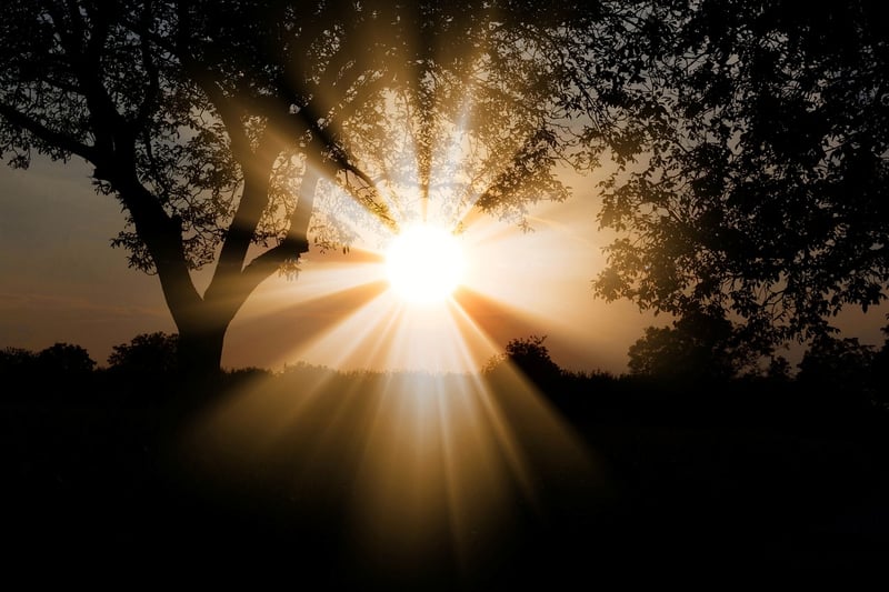 Sunlight Needs