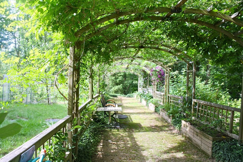 Vertical Trellis Garden
