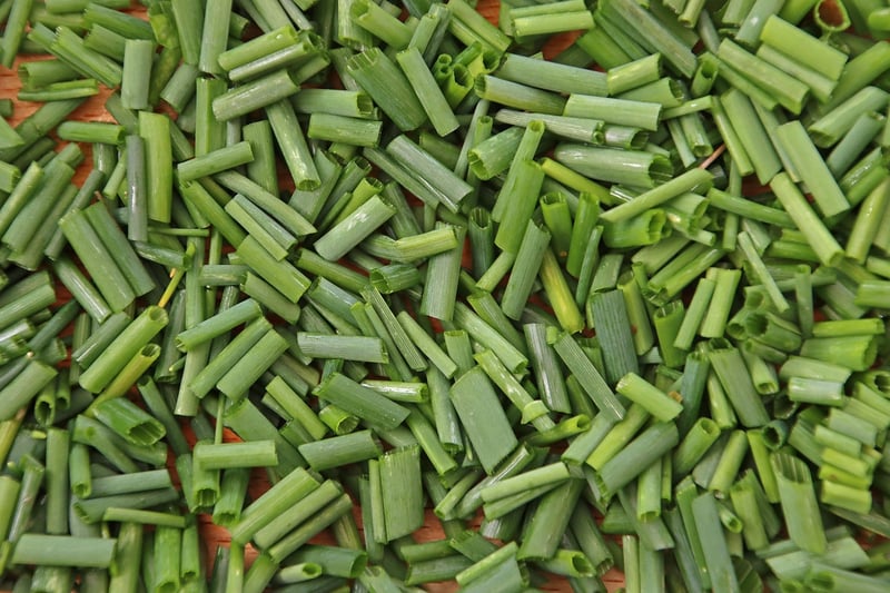 Herb Garden