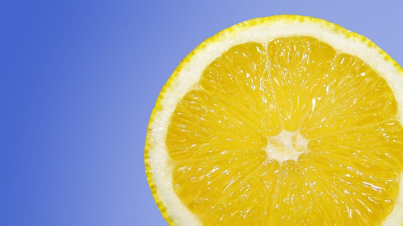 Indoor Citrus Trees